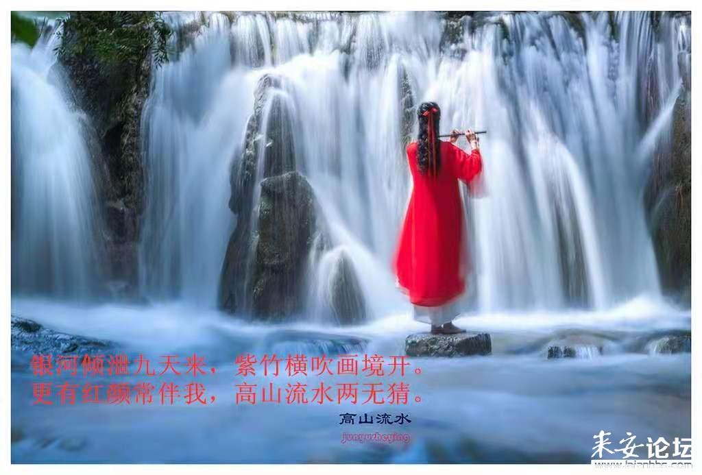 竞技宝如何